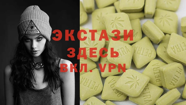 крисы Кулебаки
