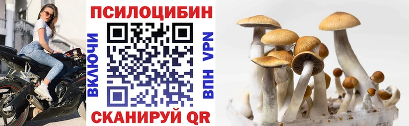 хочу   Магас  Псилоцибиновые грибы Magic Shrooms 